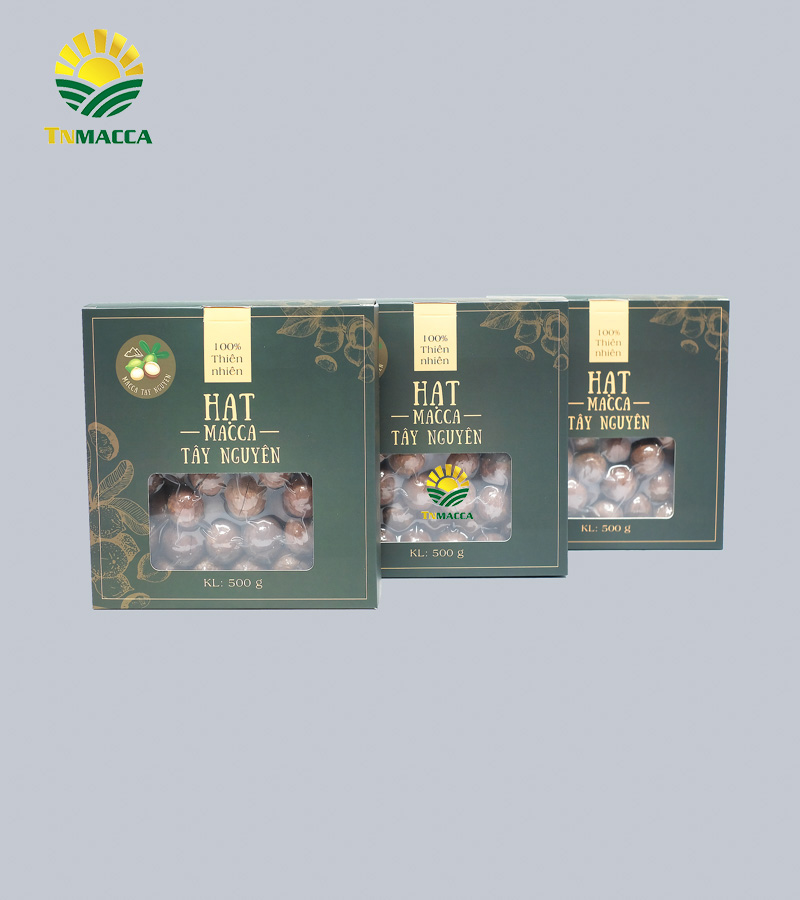 4.sua-hat-macca-3-cach-lua-sua-macca-phu-hop-voi-nhu-cau-su-dung